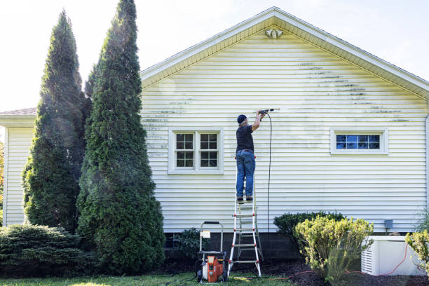 Best Commercial Building Pressure Washing  in West Pleasant View, CO