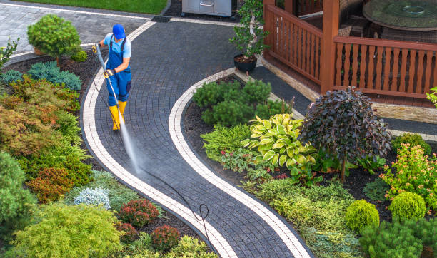 Local Pressure Washing Services in West Pleasant View, CO